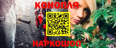 трава Краснодар