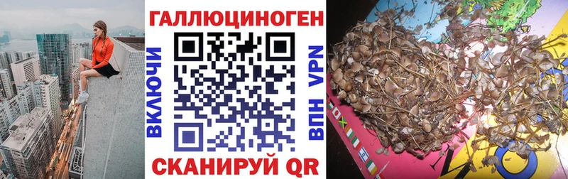 Галлюциногенные грибы прущие грибы Зеленодольск