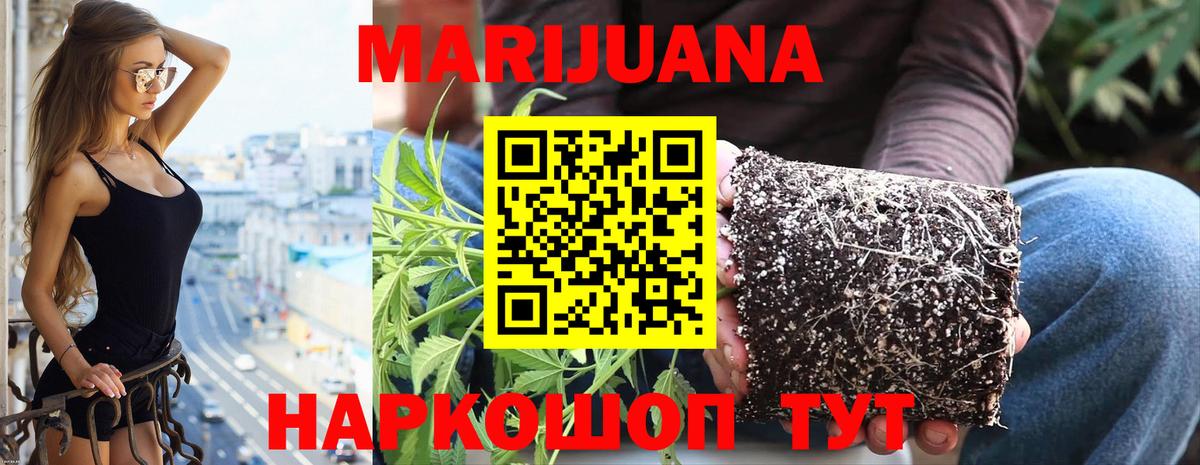 Зеленодольск  Марихуана план  Каннабис Amnesia  Вход с VPN 
